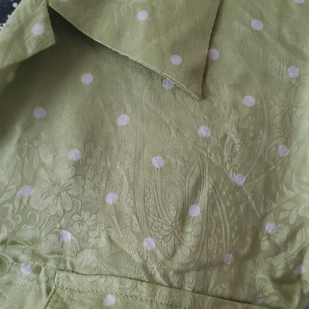 Anna and Frank gree silk button down, size M - Picture 2 of 2